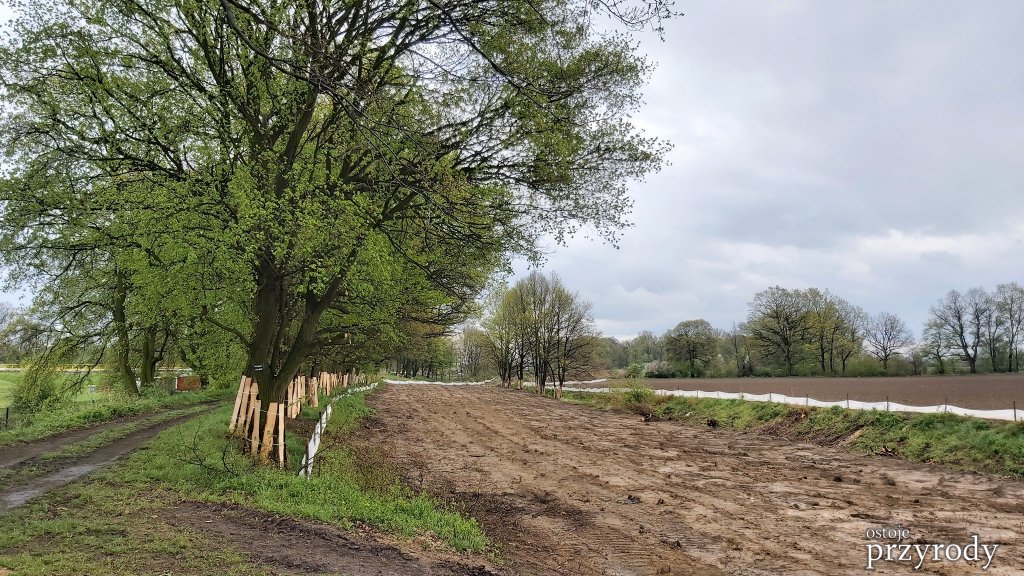 Prace nad obwałowaniem